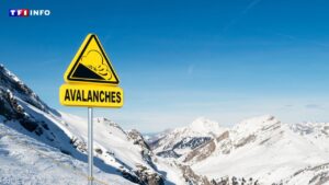 Avalanche dans le Puy-de-Dôme : au moins quatre morts, deux personnes recherchées | TF1 INFO