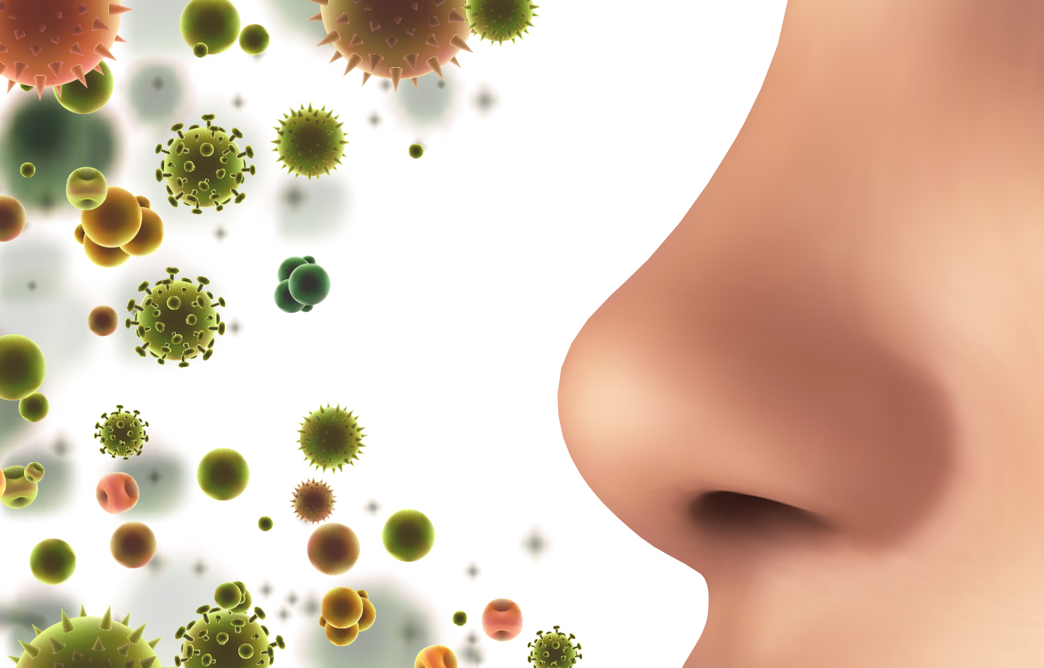 Covid-19 : une piste pour le traitement contre la perte d’odorat
