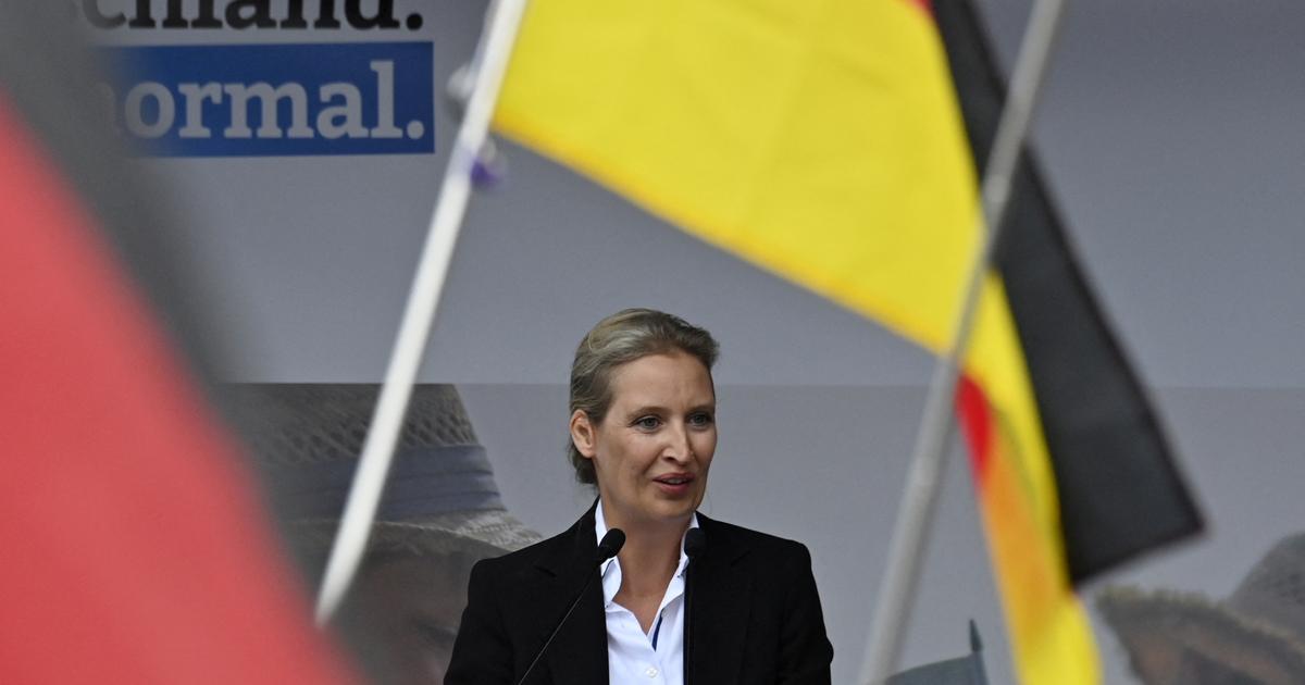 En Allemagne, l'AfD est désormais la deuxième force politique du pays selon les sondages