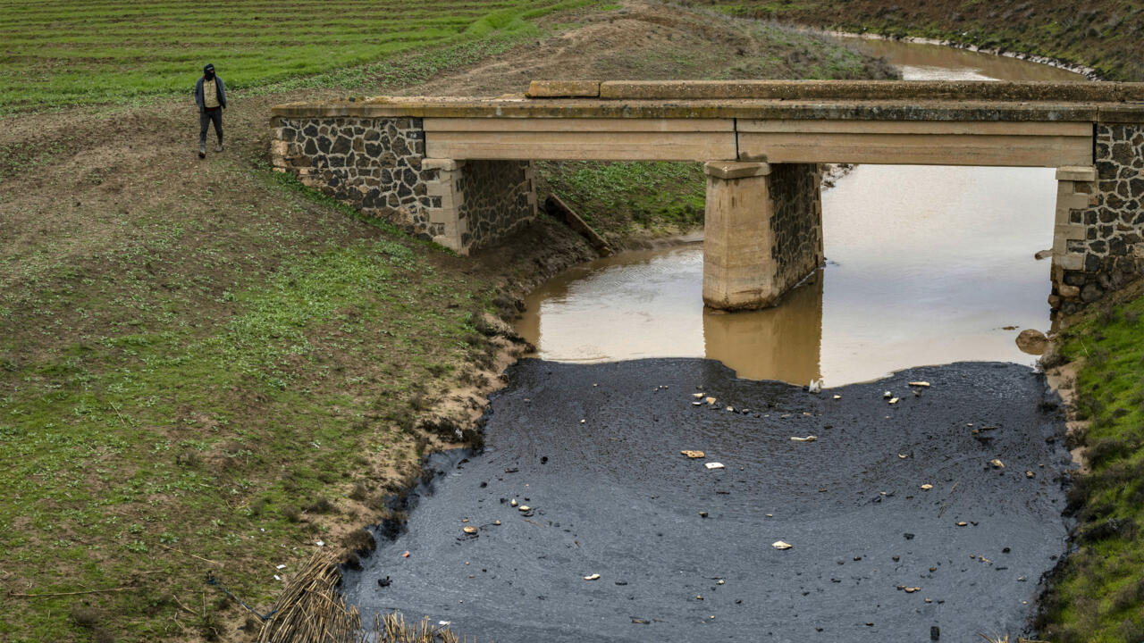 En Syrie, des fuites de pétrole polluent une rivière vitale pour les agriculteurs