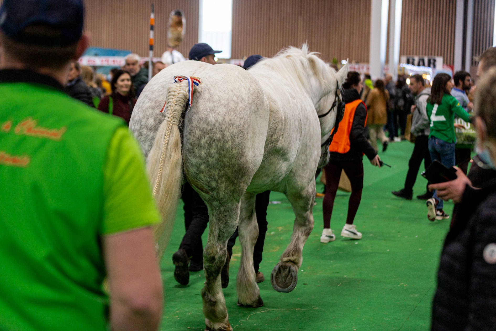 You are currently viewing Le cheval fait sa place au Salon international de l’agriculture