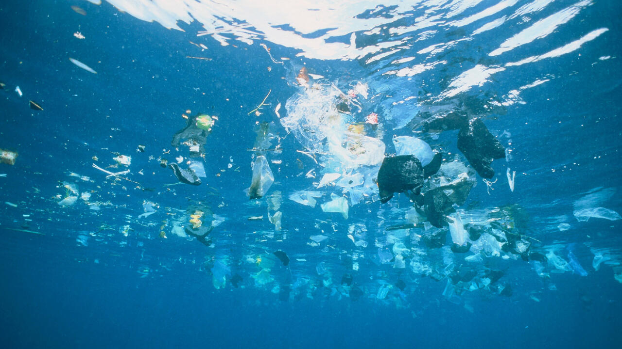 Questions d'environnement - Lagos et la Somalie interdisent l’utilisation des plastiques à usage unique