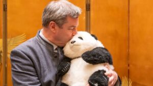 In China: Markus Söder inszeniert sich als Panda-Papa