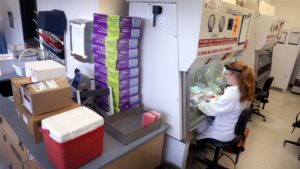 Grippe aviaire : la transmission de la souche H5N1 à l'homme "est une énorme inquiétude", alerte l'OMS